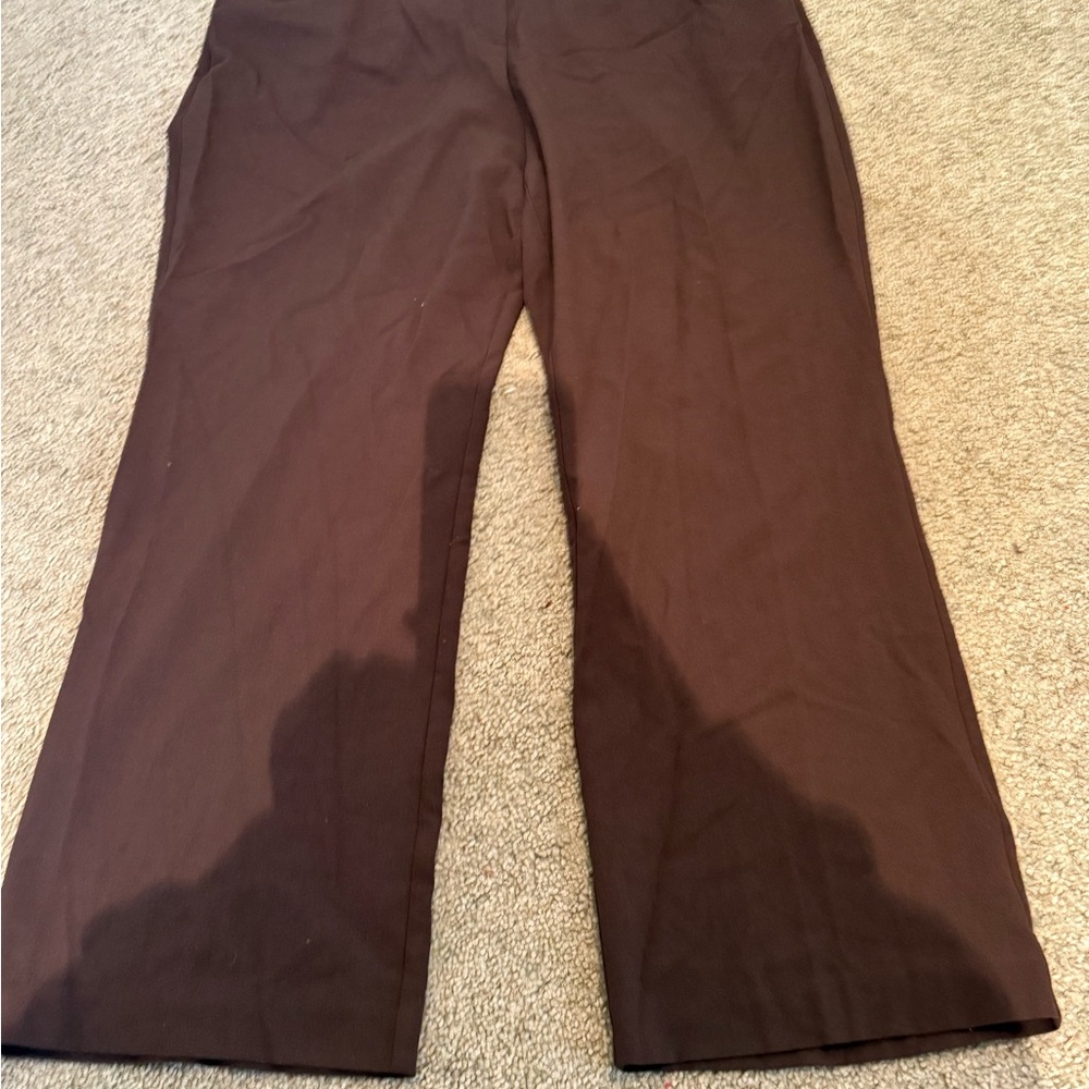 Elegant Brown Women's Pants